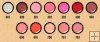 Anna Sui Lip & Face Color G 27 July