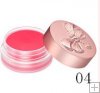 Laduree Tinted Lip Balm N 04*free shipping