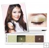 Shu Uemura 4 Eyeshadows+case (Forest Green