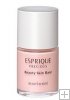 Beaute de Kose Esprique Precious Beauty Skin Base